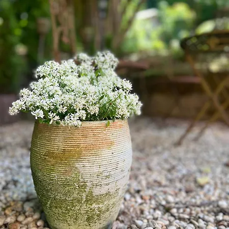 Maison Lily 5 Διαμέρισμα *