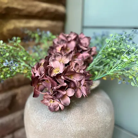 Maison Lily 5
